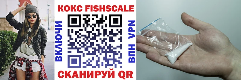 Купить закладки  Цивильск  Кокаин Fish Scale 