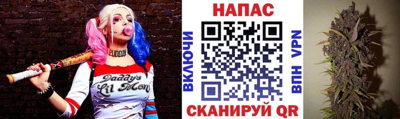 Шишки марихуана LSD WEED  Купить закладки  Цивильск 